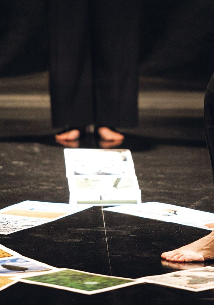 Albero - piccoli impavidi